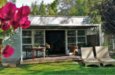 The Maun Studios Maun