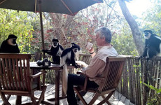 The Trout Tree Restaurant Nanyuki