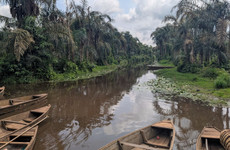 Visite de porto-novo et rivière noire Porto Novo