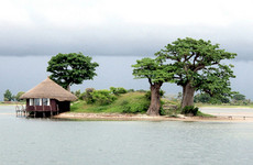 Visiter le Saloum Dakar
