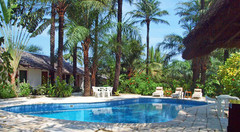 le-balafon-mEzAX.jpg 1