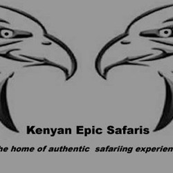 Kenyan Epic Safaris