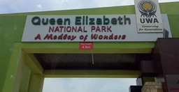 -0UJn7Uo3r2.jpeg 2
