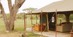 -9udgyrGKVW.jpeg 3