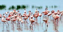 -ZZJYKBRt8R.jpeg 2