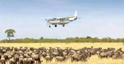 -mO8GSt1q7E.jpg 1