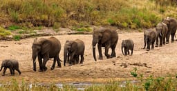 1-day-tarangire-trip-kduxn.jpg 1