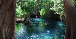 10-day-the-great-shared-safari-lodge-experience-2OwOS.jpg 1