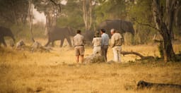 10-day-the-great-shared-safari-lodge-experience-sRNOy.jpg 2