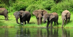 12-days-best-of-botswana-okavango-delta-chobe-wi9RC.jpg 2