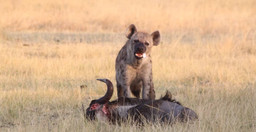 13-days-best-of-tanzania-and-zanzibar-NrMhH.jpg 1