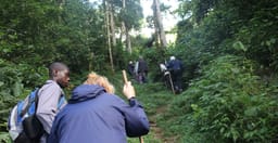 14-days-ugandas-most-popular-H9rNAbzECh.jpg 3
