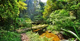 16-days-wildlife-uganda-cOrQoNOIA1.jpg 2