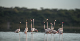 2-day-tarangire-ngorongoro-safari-from-zanzibar-9JlbT.jpg 3