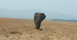 2-days-akagera-national-park-visit-53dF6sIeJP.jpg 3