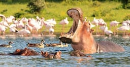 2-days-budget-camping-safari-tarangire-and-ngorongoro-ZItYn.jpg 1