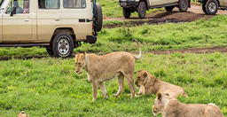 3-day-2-nights-baobab-experience-safaris-tanzania-SNcjt.jpg 3