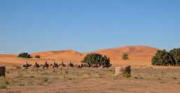 3-day-sahara-desert-student-group-tour-from-marrakech-merzouga-QLPV3.jpg 2