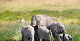3-day-tarangire-ngorongoro-lake-manyara-68gQWLQkbJ.jpeg 3