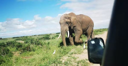 3-days-2-nights-masai-mara-group-safari-Nn4db1cGQI.jpeg 2