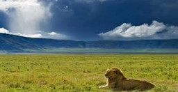 3-days-exploration-in-tanzania-iconic-national-parks-dgRy2eERRy.jpg 3