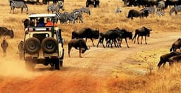 3-days-maasai-mara-camping-safari-NeemX.jpg 1