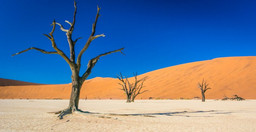3-days-sossusvlei-namib-desert-tall-dunes-tour-Phgp8LPtkr.jpeg 2