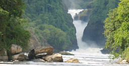 3-days-uganda-safari-murchison-falls-vacation-including-big-5-animals-HdkGmmloB6.jpeg 2