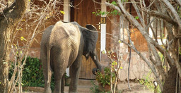 3-nights-zambia-mighty-victoria-falls-kIF5W.jpg 1