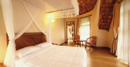 4-day-introducing-tanzania-safari-DwC9YGnjCp.jpeg 1