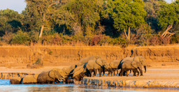 4-day-south-luangwa-national-park-budget-safari-RVBJvBNFu2.jpeg 3