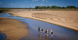 4-day-south-luangwa-national-park-budget-safari-T6cdzsMA8X.jpeg 2