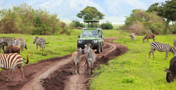 4days-budget-camping-private-safari-lake-manyara-serengeti-ngorongoro-phxW2.jpg 1