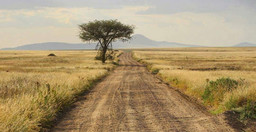 5-days-/-4-nights-safari-jSc5Y.jpg 1