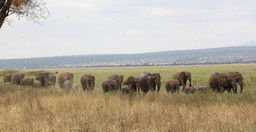 5-days-4-nights-safari-bmAua.jpg 2