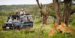 5-days-4-nights-taste-of-loxodonta-tanzania-safarisri-dTZ42.jpg 2