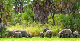 5-days-luxury-lodge-safari-SoMYlUNJd0.jpg 1