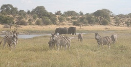 6-day-salt-pan-safari-in-botswana-TQqi3.jpg 1