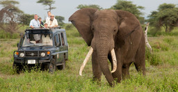 6-day-serengeti-wildebeest-migration-expedition-Rflcm.jpg 1