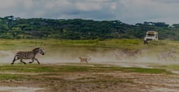 6-day-tanzania-budget-safari-waterfalls-and-hot-springs-phQ72.jpg 1