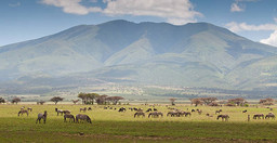 6-days-5-nights-maasai-mara-lake-nakuru-amboseli-safari-small-group-joining-dV4Sn.jpg 2