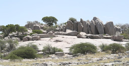 6-nights-khama-rhino-lekhubu-ckgr-zxeM9.jpg 3