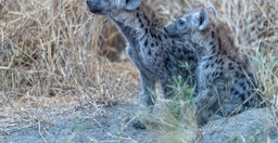 7-days-6-nights-tanzania-safari-SKfHg.jpg 2