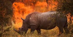 8-day-explore-serengeti-great-wildebeest-migration-tour-azRki.jpg 2