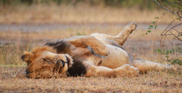 9-days-uganda-expedition-N9yfpM2cQE.jpeg 3