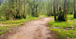 addis-ababa-city-tour-explore-ethiopias-capital-in-one-day-QAmUw.jpg 3