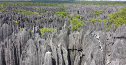 adventure-to-tsingy-bemaraha-national-park-6A1YCnkD6Q.jpeg 3