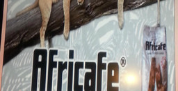 africafe-coffe-house-1.jpg 1