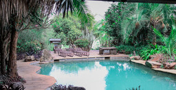 african-heritage-house-Saty1GZpJh.jpg 2