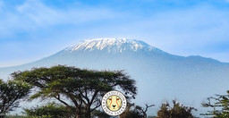 amboseli-home-of-the-giants-safari-ltG7s.jpg 3